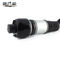 2113209413 A2113209413 Car Shock Absorber For Benz W211